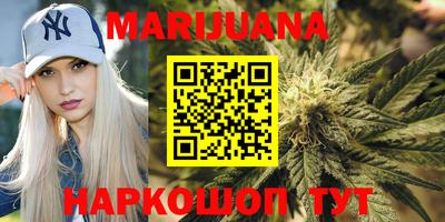 гидра Краснодар