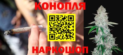 гидра Краснодар