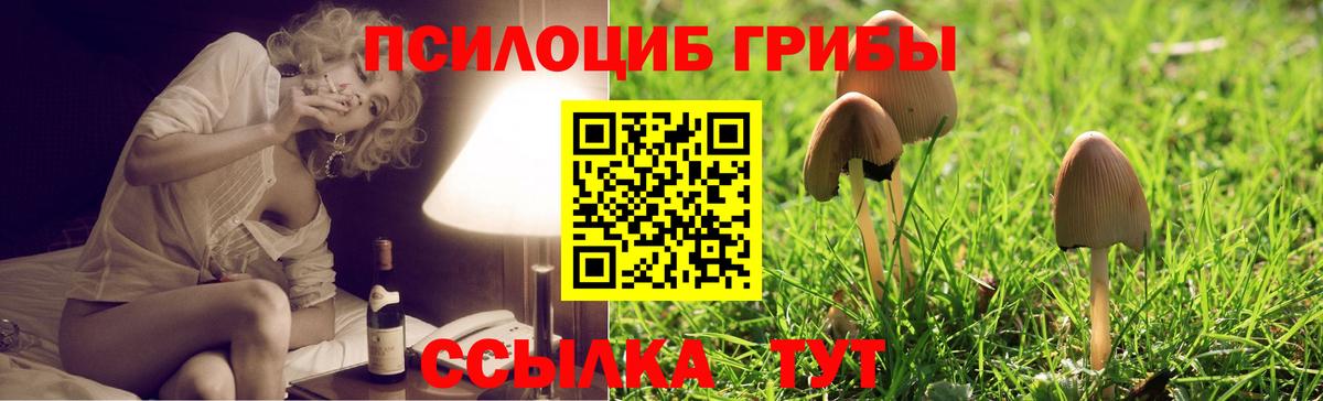 Галлюциногенные грибы Cubensis Ижевск