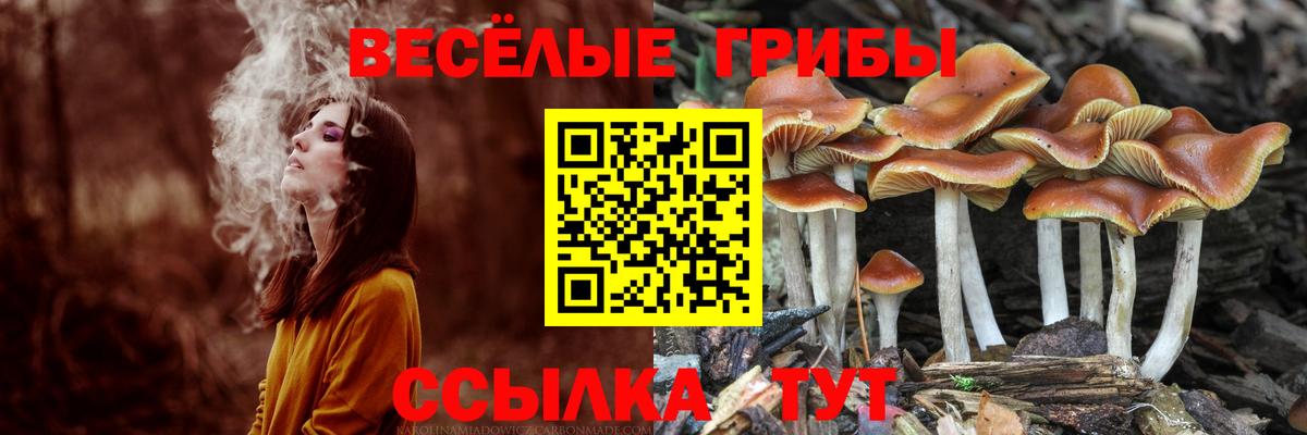 Ижевск  Псилоцибиновые грибы GOLDEN TEACHER  Вход с VPN  Псилоцибиновые грибы Cubensis 